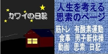 かわいひでとし日記