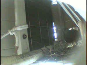 52702.jpg (19098 oCg)