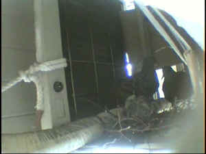 52704.jpg (19199 oCg)