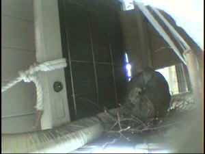 52706.jpg (20004 oCg)