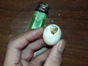 h012.jpg (18235 oCg)